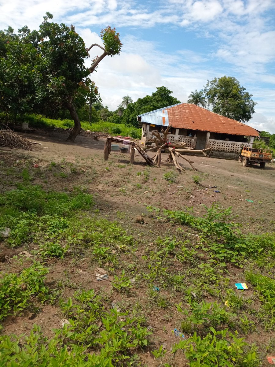 chammodou47's tweet image. Form the Gambia one love ❤️