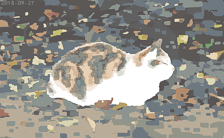 「ねこ(2018) 」|junkumaのイラスト