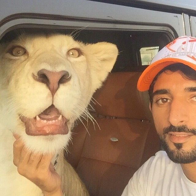 lilo_coin's tweet photo. #LILO AND HAMDAN @HamdanMohammed 
In uae 🦁ليلو المكتوم
#not #ton #solana #btc #airdrop #crypto #rbtc #pepe #doge #dogs #lilocoin #lilo https://t.co/92RRtmFp5j