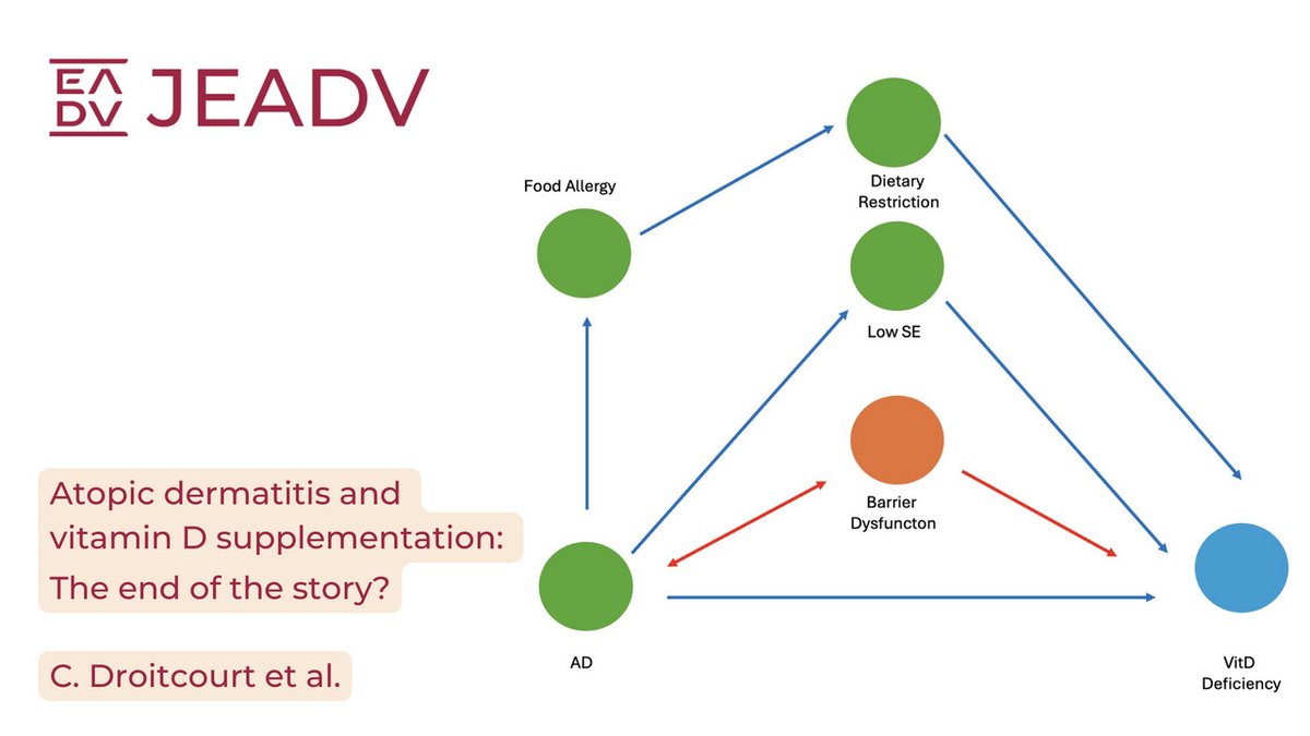 After 15 years of debate, is it now the time to shed some light on the real effects of #vitaminD on #healthconditions, including #AtopicDermatitis (AD)?
Read the article to find out 📖👉 onlinelibrary.wiley.com/doi/10.1111/jd…

#EADVcongress: join the conversation and stay up-to-date!💥