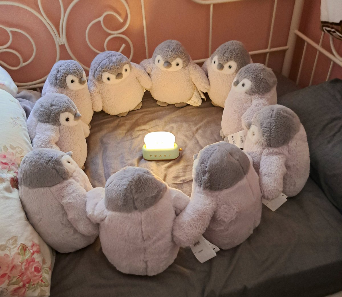 ✨素敵な投稿ありがとうございます✨ 「ぬいぐるみ(ペンギン3B S