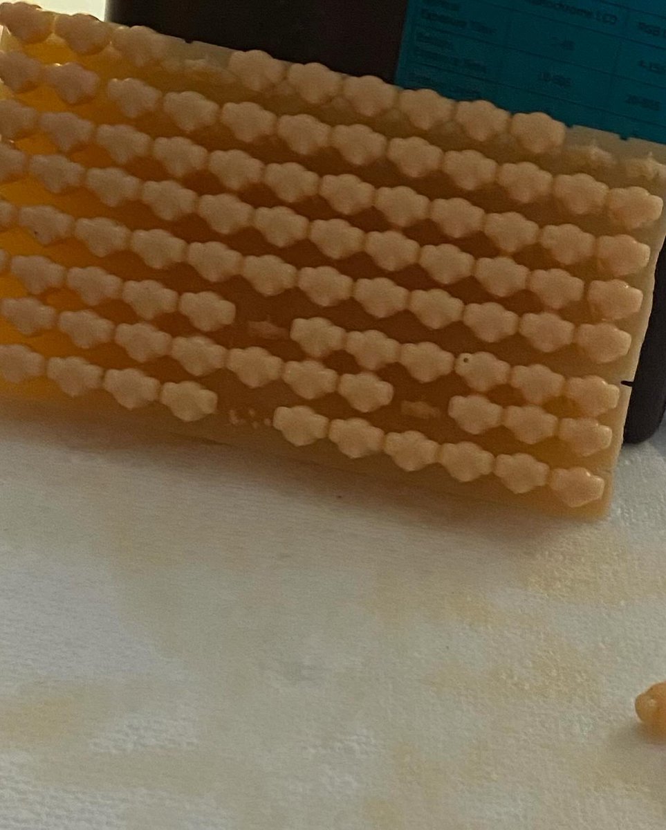 SleepyVetTech's tweet image. TYUdeongi came out perfectly. 

Sadly, PuppyM had 8 unfortunate events. I’ll have to fix the plate size parameters and retry.

As of today, I have 95 Mini Dwaekki and 92 Mini PuppyMs. Delicate necks these guys have. 🤣

WolfChan will be next. 😁