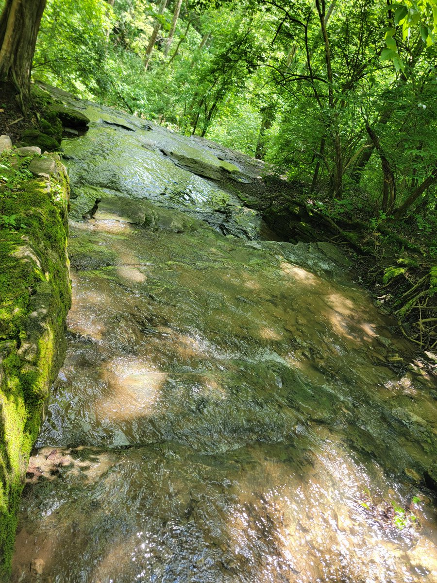 AsmodeusQueen's tweet photo. Nature is so beautiful https://t.co/XpezIhWhhs