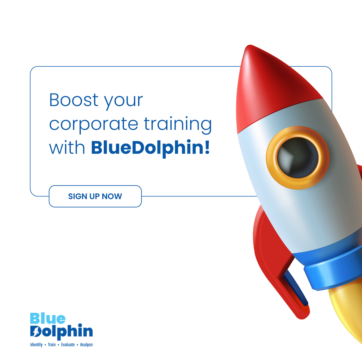 BlueDolphin tweet media