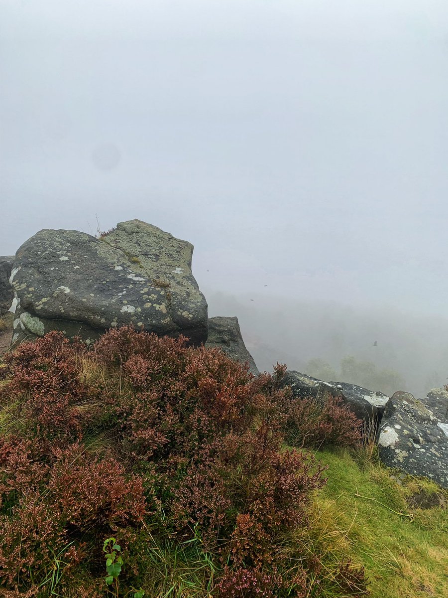abdalla8338's tweet photo. From Sunday murky morning walk at Millstone Edge.
#Millstoneedge #Peakdistrict https://t.co/Lyy66TN23c