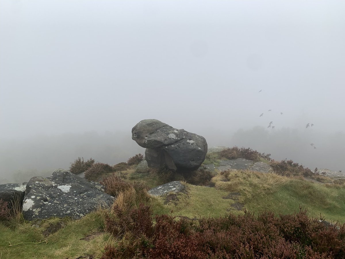abdalla8338's tweet photo. From Sunday murky morning walk at Millstone Edge.
#Millstoneedge #Peakdistrict https://t.co/Lyy66TN23c