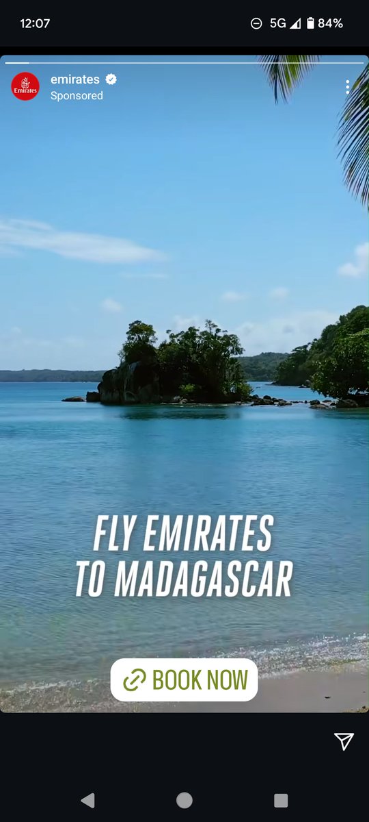 CarolineTidman's tweet photo. Misread this as 'fly emigrates to Madagascar' and that seems like a nice place for a fly tbh https://t.co/ePeHEm9fLo