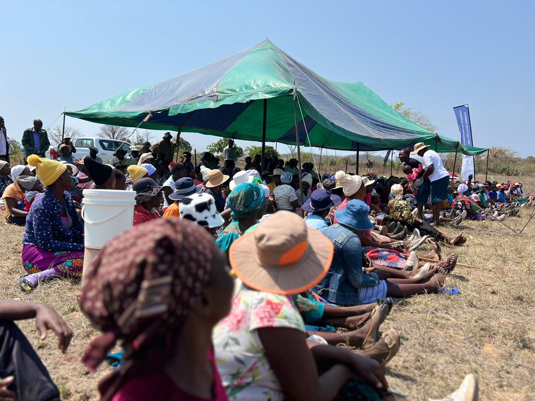 KudzieChimzy's tweet photo. We're live in Chebvute, Ward 17 Masvingo for the 5th edition of the #Seed &amp; #Mechanization Fairs, hosted by @CIMMYT and partners! 
The energy is high with farmers from all walks of life eager to explore and buy latest seeds, equipment and more in prep for the upcoming season! https://t.co/djC9FWexgG