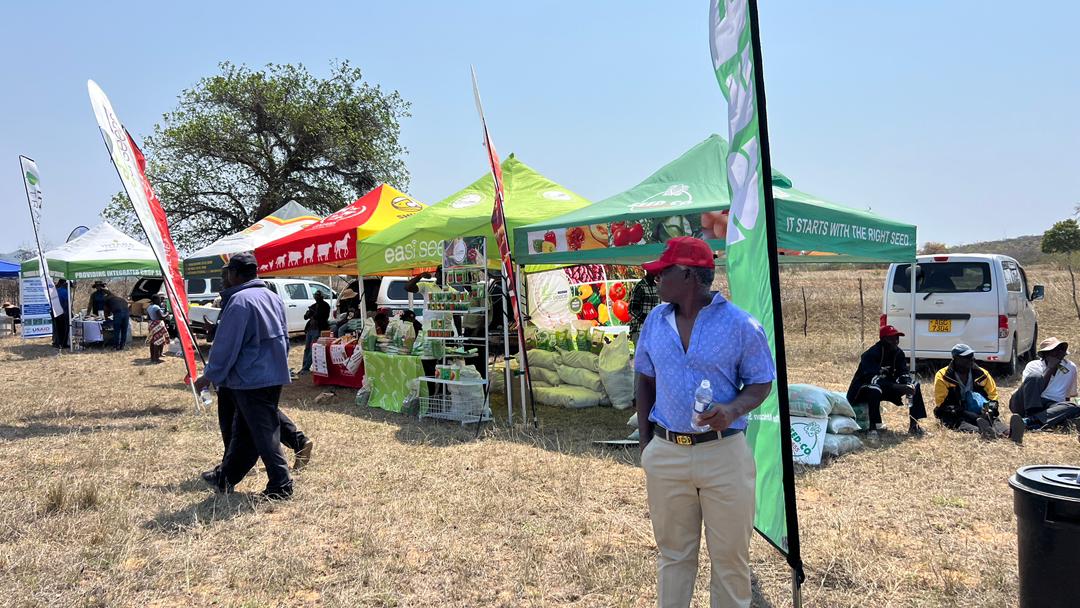 KudzieChimzy's tweet photo. We're live in Chebvute, Ward 17 Masvingo for the 5th edition of the #Seed &amp; #Mechanization Fairs, hosted by @CIMMYT and partners! 
The energy is high with farmers from all walks of life eager to explore and buy latest seeds, equipment and more in prep for the upcoming season! https://t.co/djC9FWexgG