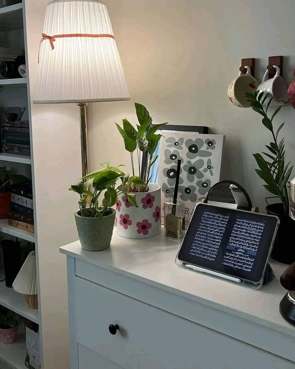 الحياة الهادية حلوة جـداً اتعلموا ما تردوش ، ما تركزوش ، ما تناقشوش، 🤍🌿.