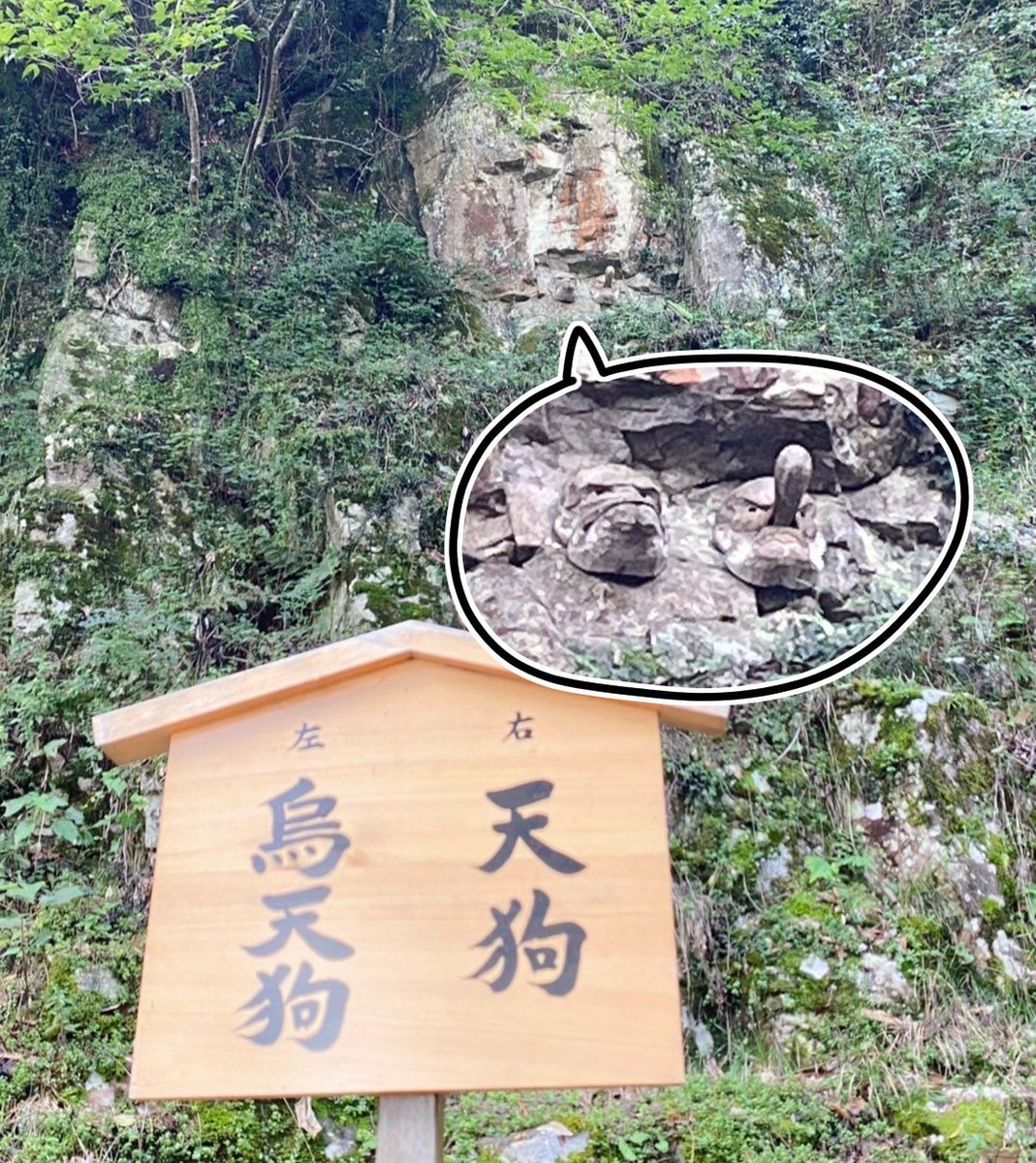 御本宮の黄色いお守りの他に、奥社まで行くと天狗お守り(劇画タッチでつよそう)がゲットできます。通販もあるそうですが自分の足で行けてよかった…。
目的だった一鶴の骨付鳥と本場のうどんもおいしゅうございました🙏 