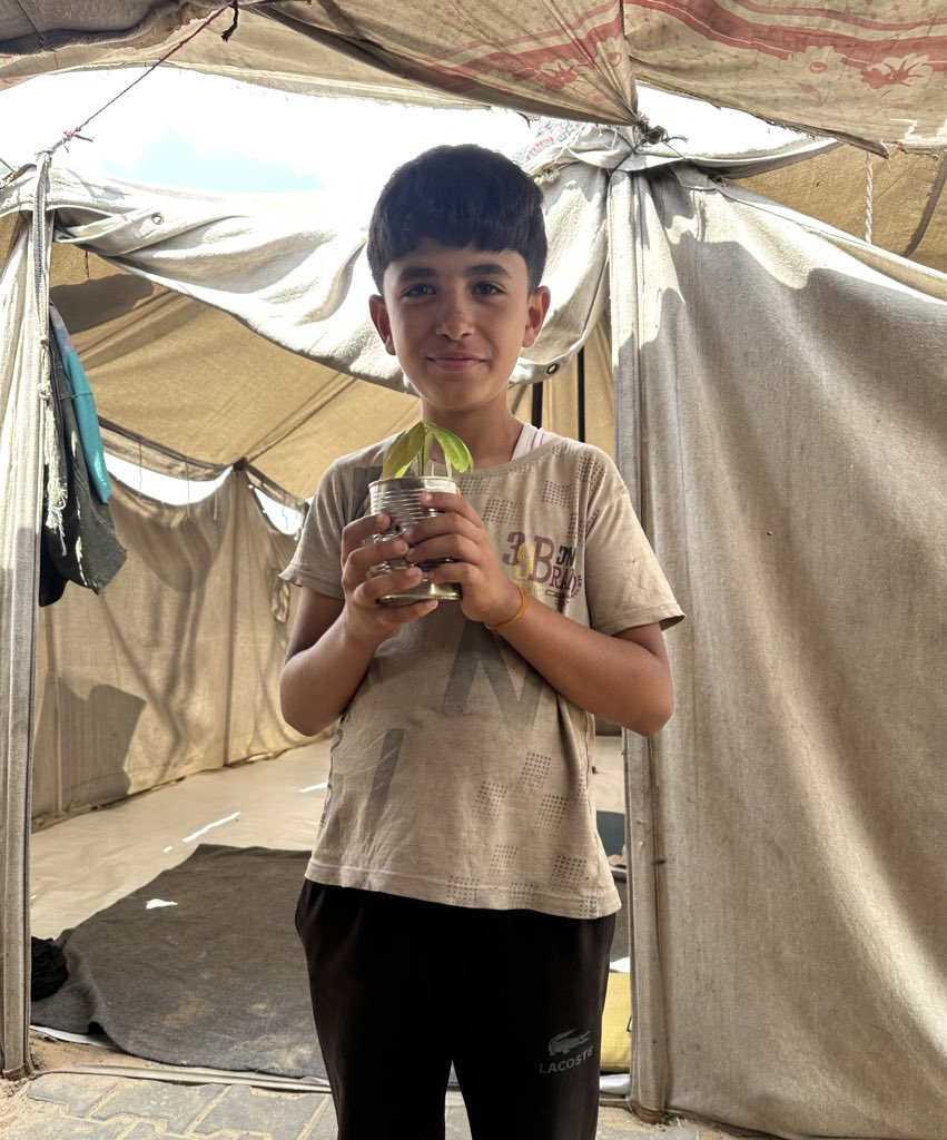 About Yousef’s joy, my sister’s lad, because the mango seed he planted all by himself in a tiny jar has finally sprouted ☺️🌱