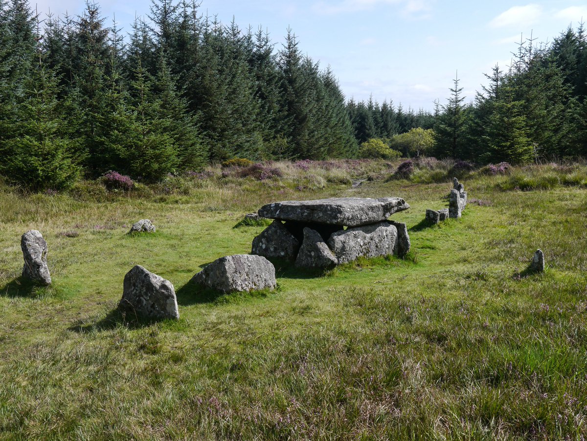 Michael Mitchell tweet media