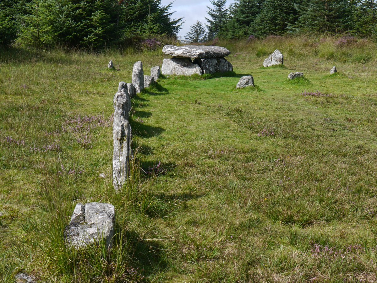 Michael Mitchell tweet media