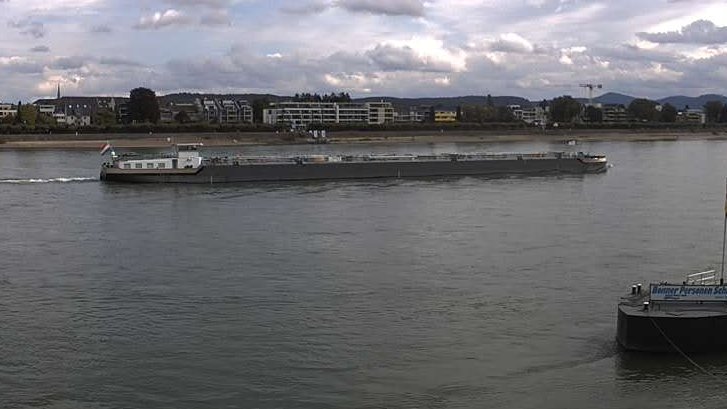 Rheinpegel's tweet photo. Hallo #Fenne #Schiff #Bonn #Rhein https://t.co/XzeGwZ8ml5