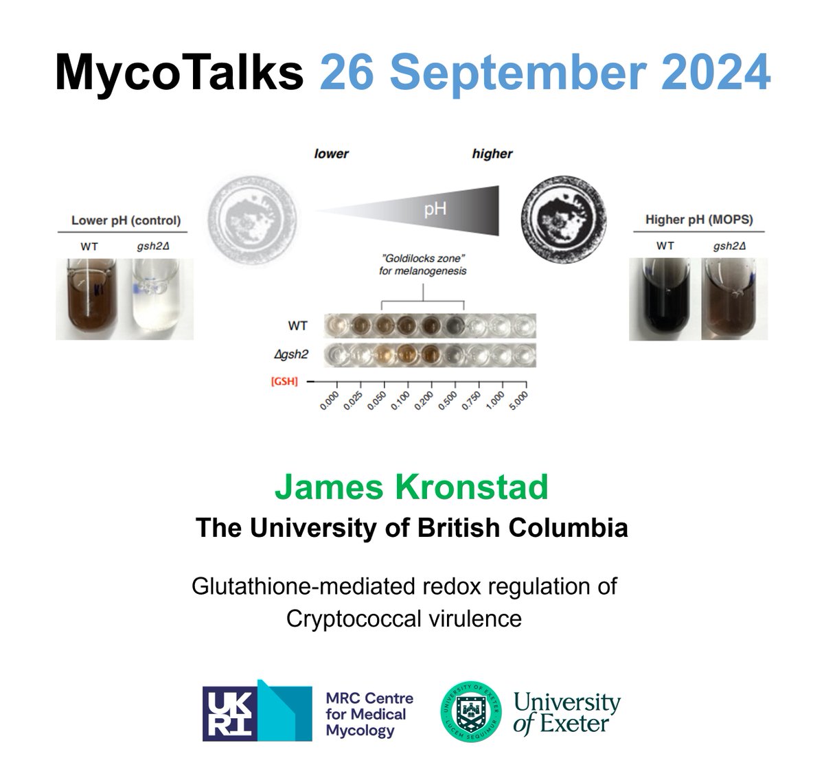 It's only two days until #MycoTalks with Julia Koehler and <a href="/james_kronstad/">James Kronstad</a>  
Register here: Universityofexeter.zoom.us/webinar/regist…