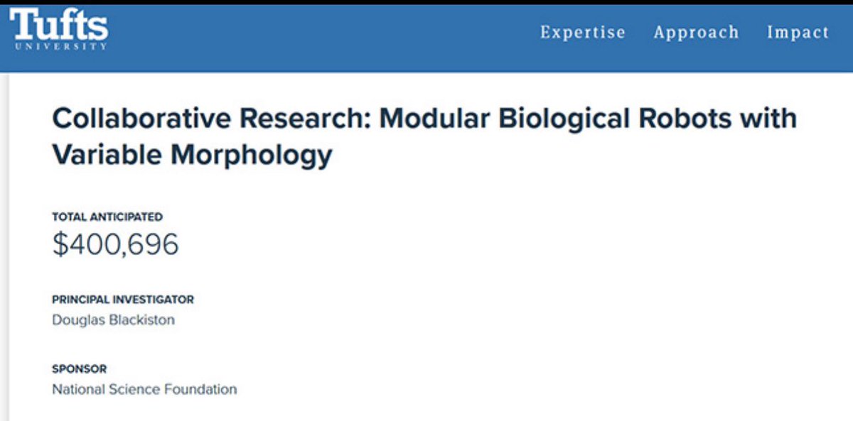 Tufts Biology Department (@tufts_biology) on Twitter photo 🤖🧫Congrats to our sr scientist <a href="/DougBlackiston/">Douglas Blackiston</a> & co-investigator <a href="/Kriegmerica/">Sam Kriegman</a> on their NSF grant “Modular biological robots with variable morphology”! 👏🍾 🤖🧫Congrats to our sr scientist <a href="/DougBlackiston/">Douglas Blackiston</a> & co-investigator <a href="/Kriegmerica/">Sam Kriegman</a> on their NSF grant “Modular biological robots with variable morphology”! 👏🍾