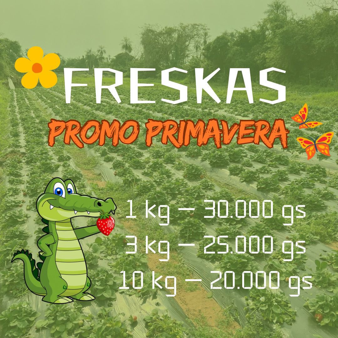 LaPulgaAcosta's tweet photo. Pedidos al DM!!! https://t.co/DD7B3HEEW0