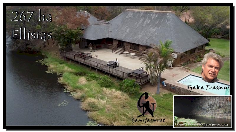 TjakaE's tweet image. Natuurskoon! R12,75m. 267 ha. Ellisras (Lephalale). 1) Tonnelboerderykompleks met tonnels, woonhuise en buitegeboue; 2) Venue / vakansieoord. Wildplaas: 829. #ellisras #lephalale gamefarmnet.co.za/829detail.htm