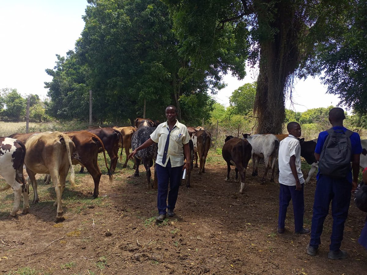 Connect To Retain (@connect_2retain) on Twitter photo Our Access students had an amazing time visiting
<a href="/PU_Kilifi/">Pwani University</a> !Big thanks to the university for an inspiring tour—our students left motivated and excited about their future possibilities!
#ConnectToRetain
<a href="/KenyaRedCross/">Kenya Red Cross</a> <a href="/USEmbassyKenya/">U.S. Embassy Nairobi</a> <a href="/AKF_EA/">AgaKhanFoundation EA</a> <a href="/GlobalDevInc/">Global Development Incubator</a> <a href="/SegalFoundation/">Segal Family Foundation</a> Our Access students had an amazing time visiting
<a href="/PU_Kilifi/">Pwani University</a> !Big thanks to the university for an inspiring tour—our students left motivated and excited about their future possibilities!
#ConnectToRetain
<a href="/KenyaRedCross/">Kenya Red Cross</a> <a href="/USEmbassyKenya/">U.S. Embassy Nairobi</a> <a href="/AKF_EA/">AgaKhanFoundation EA</a> <a href="/GlobalDevInc/">Global Development Incubator</a> <a href="/SegalFoundation/">Segal Family Foundation</a>