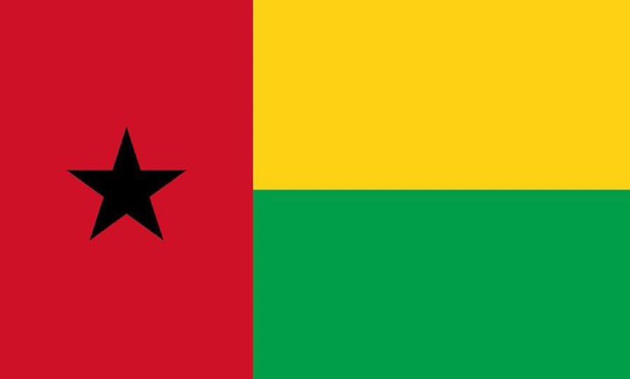 allanagomes5x's tweet photo. The Flag🇬🇼                          The face ❤️ https://t.co/4lqw9A6efe