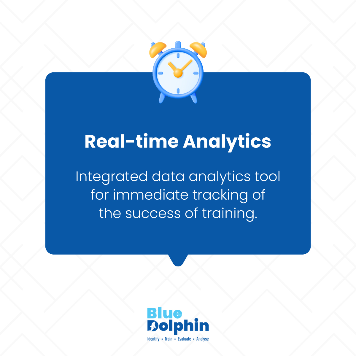 BlueDolphin tweet media