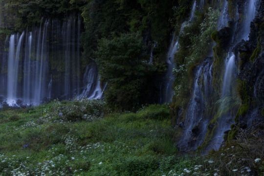 elemmiressoul's tweet photo. serenity.ྀ࿐ https://t.co/NVOcxy2Swj