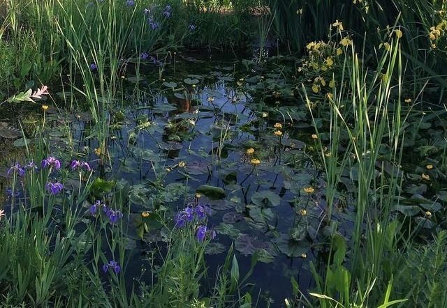 elemmiressoul's tweet photo. serenity.ྀ࿐ https://t.co/NVOcxy2Swj