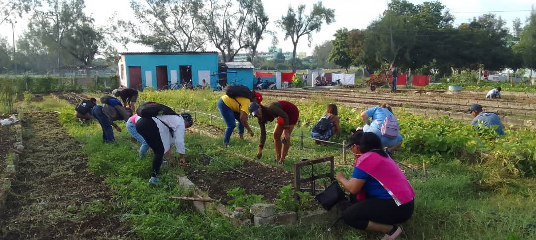 QueipoRuiz's tweet photo. #ResumenHolguinero semanal 2: Trabajadores de los sindicatos de la Construcción, Energía y Minas, Turismo y las Comunicaciones se movilizaron con #HonorHolguinero con el Programa "Producción con Todos y para el Bien de Todos" en los municipios de #HolguínSí por #Cuba https://t.co/FanVlUwLPq