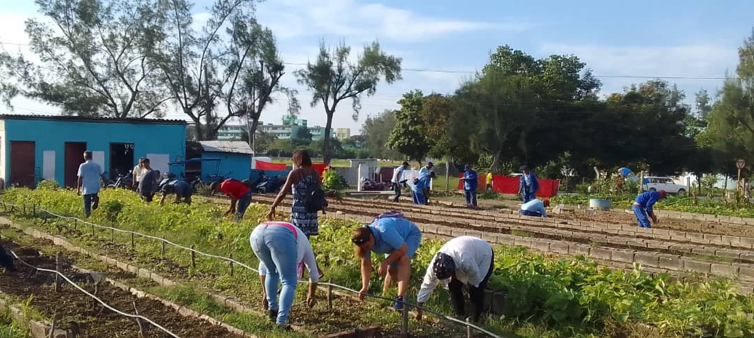 QueipoRuiz's tweet photo. #ResumenHolguinero semanal 2: Trabajadores de los sindicatos de la Construcción, Energía y Minas, Turismo y las Comunicaciones se movilizaron con #HonorHolguinero con el Programa "Producción con Todos y para el Bien de Todos" en los municipios de #HolguínSí por #Cuba https://t.co/FanVlUwLPq