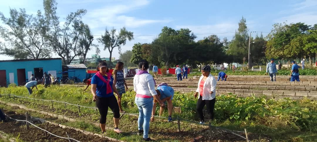 QueipoRuiz's tweet photo. #ResumenHolguinero semanal 2: Trabajadores de los sindicatos de la Construcción, Energía y Minas, Turismo y las Comunicaciones se movilizaron con #HonorHolguinero con el Programa "Producción con Todos y para el Bien de Todos" en los municipios de #HolguínSí por #Cuba https://t.co/FanVlUwLPq