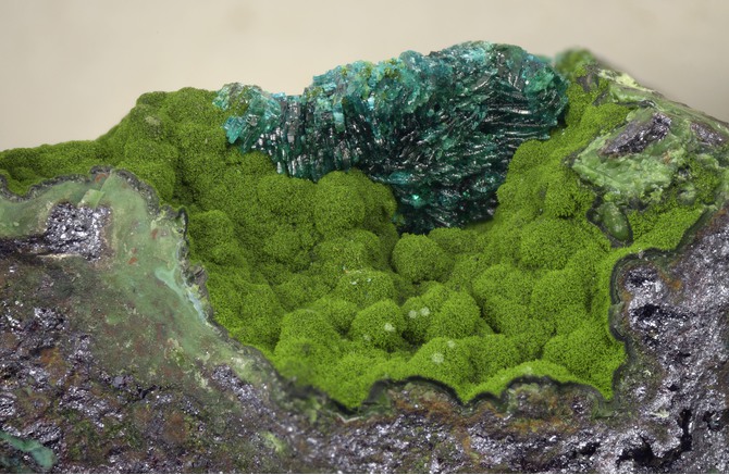 Geology_History's tweet image. September  24, 1541, Philippus Aureolus Theophrastus Bombastus von Hohenheim,  better known as the physician Paracelsus, died #OTD. He studied mining  &amp;amp; metallurgy as essential parts of alchemy &amp;amp; was interested  in the diseases affecting miners
Theoparacelsite is named after him