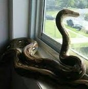 Cómo puede ser que toda persona que no sea mi amigo o conocido me caiga mal tengo que parar