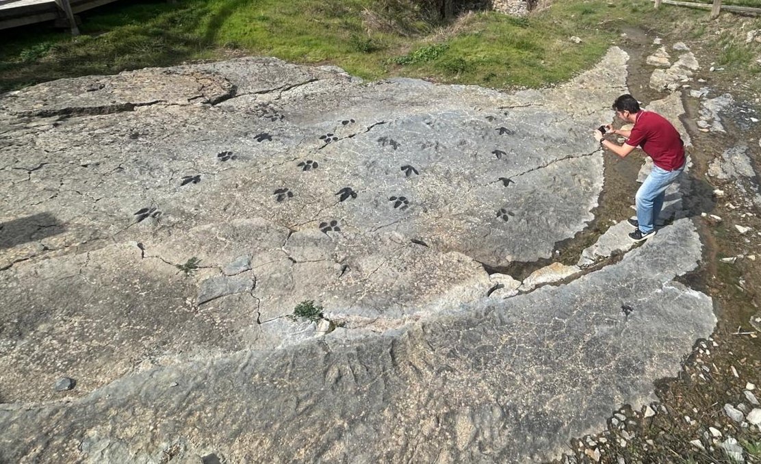 Matias Reolid tweet media