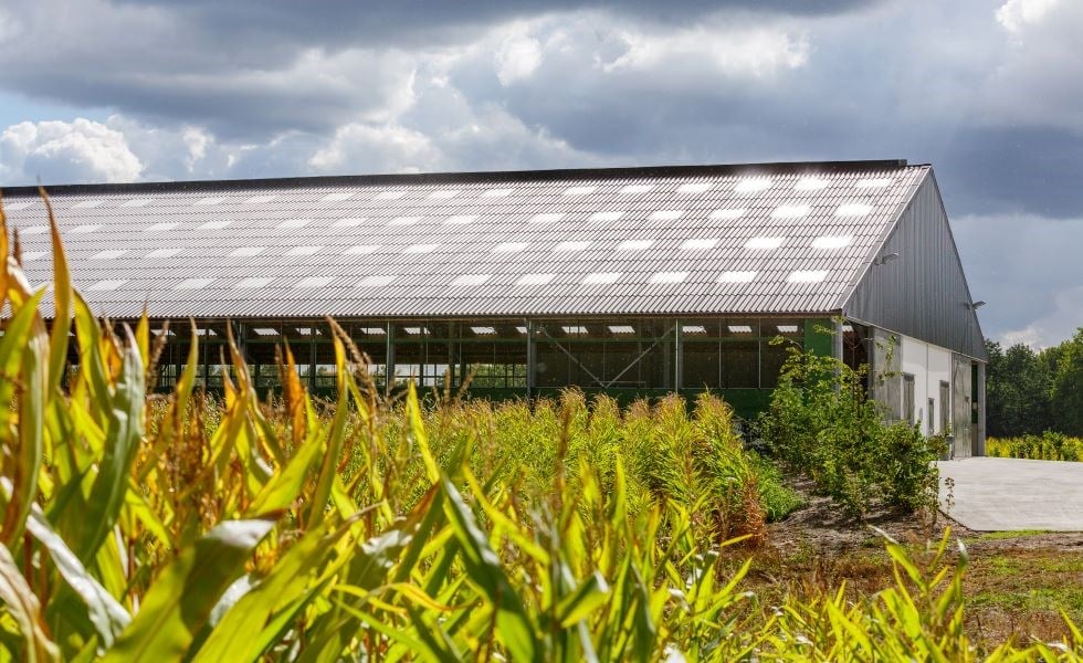 EuronitIreland's tweet photo. Living near the coast? You should consider Euronit FarmTec fibre cement sheeting for your farm buildings because it's:
✅Corrosion resistant
✅Warm in winter, cool in summer
✅Semi-compressed to absorb up to 25% of own weight
✅Grant approved
#EuronitIreland #FarmTec #FibreCement https://t.co/W3NJebX1Lt