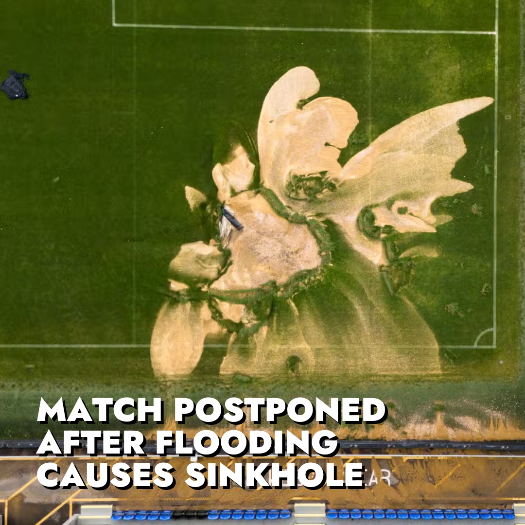 Just Stop Oil tweet media