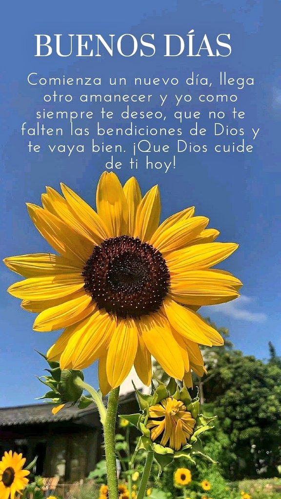 🍃🌹Victoria Bell🌹🍃 tweet media