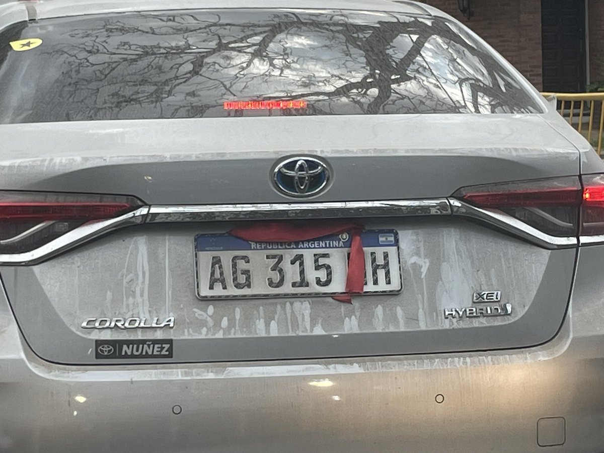 Viviam Perrone tweet media