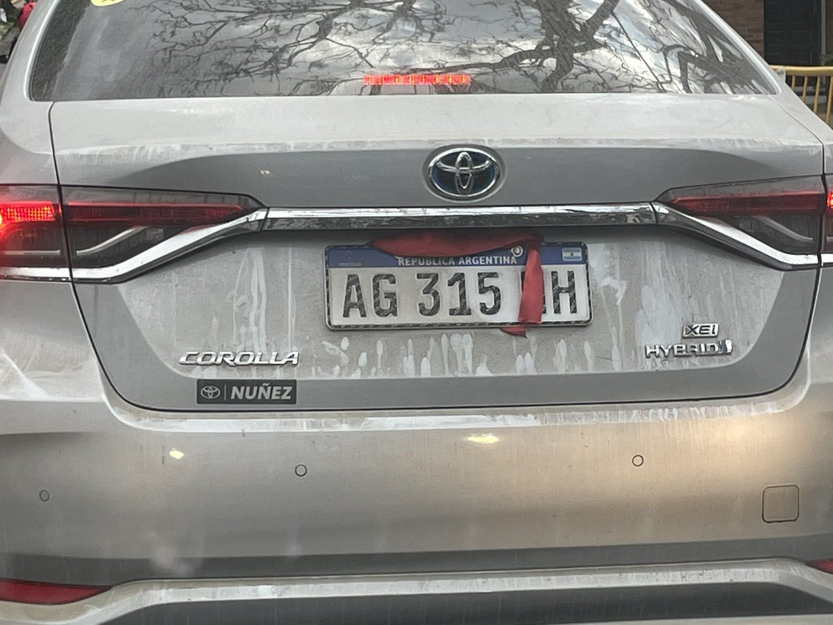 Viviam Perrone tweet media