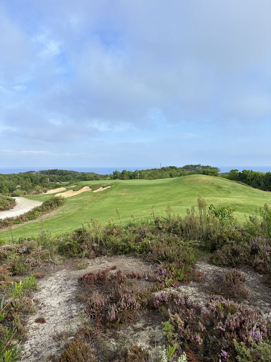 Mike Harris tweet media