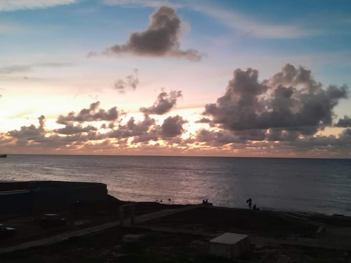 Libia Miranda tweet media