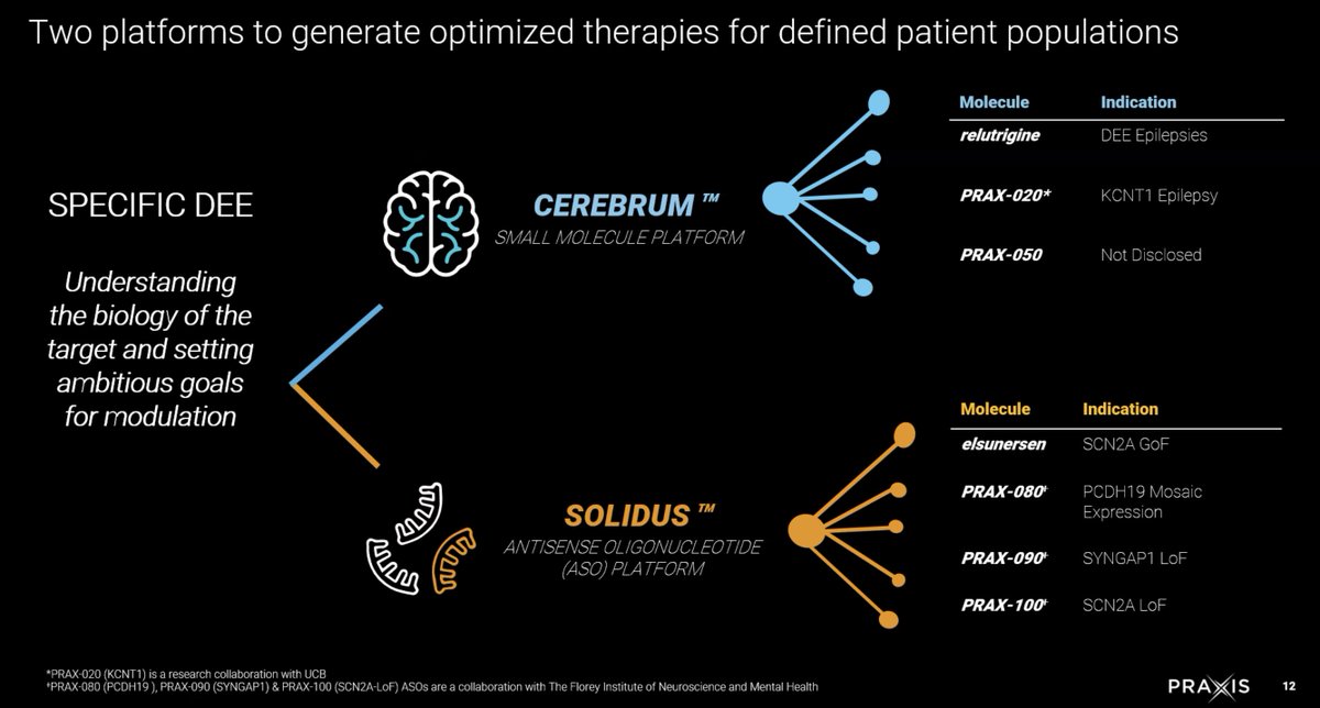 JMGraglia's tweet image. Incredibly exciting day at @PraxisMedicines.  Wonderful to see #SYNGAP1 on the list of their 7️⃣ #DEE programs.  Just exceptional.  This company is one to watch. I'm speaking at 11:30 ET on behalf of @cureSYNGAP1.  

Listen in... edge.media-server.com/mmc/p/t3d3g9sx/