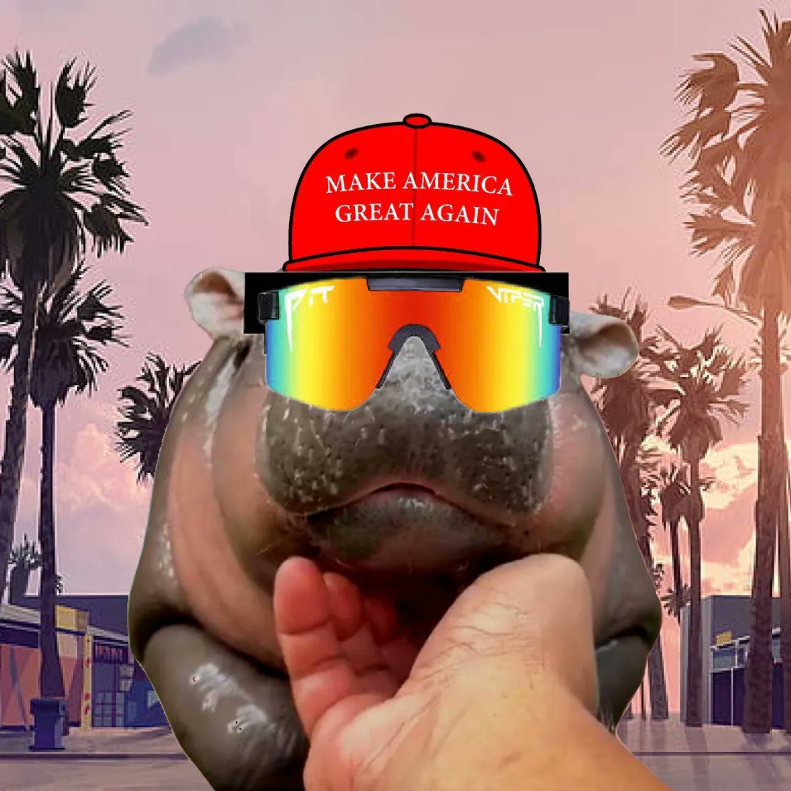 WL = FREE MINT

DROP SOLANA WALLETS