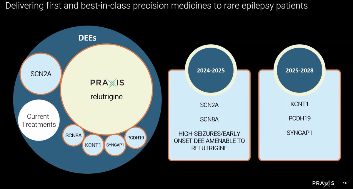 JMGraglia's tweet image. Incredibly exciting day at @PraxisMedicines.  Wonderful to see #SYNGAP1 on the list of their 7️⃣ #DEE programs.  Just exceptional.  This company is one to watch. I'm speaking at 11:30 ET on behalf of @cureSYNGAP1.  

Listen in... edge.media-server.com/mmc/p/t3d3g9sx/