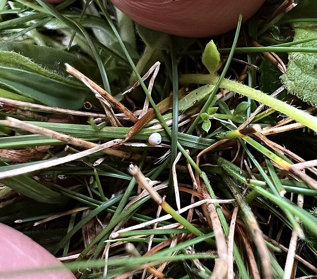 Martin Warren tweet media