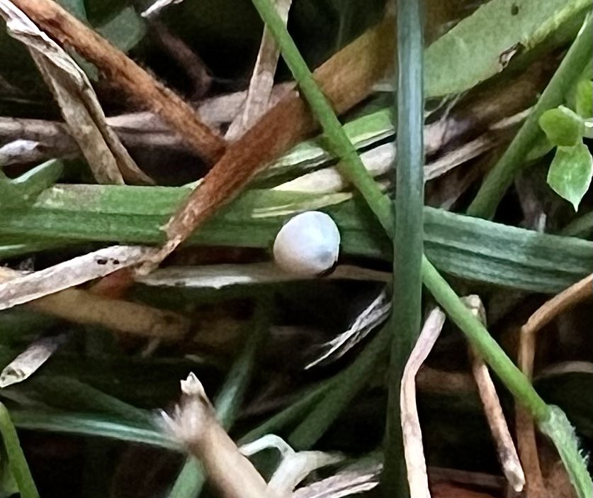 Martin Warren tweet media