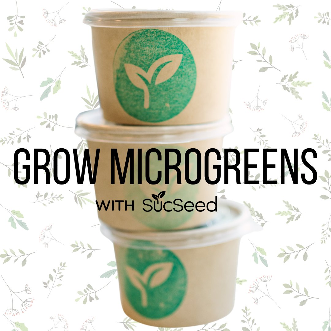 Did you know that we offer a variety of microgreen products on our online storefront? Check it out HERE-----&gt;  sucseed.ca/collections/on…