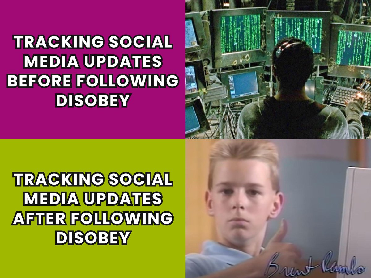 🌵Disobey tweet media