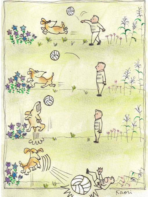 #4コマ漫画 #犬
ボール遊びですよ〜🏐 