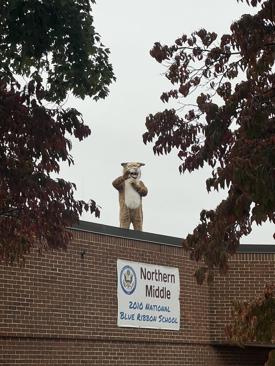 NorthernMSCCPS's tweet photo. Our Bobcats made it to the Fundraising midpoint goal, so the “Principal” Bobcat greeted the students from the rooftop today!  Congratulations to our students!!!!! https://t.co/RUdBZJwXzA